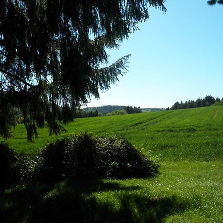 Blick In Die Suedeifel Biersdorf Екстериор снимка